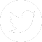 X Icon