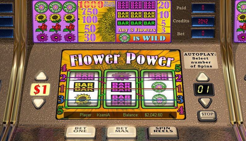 Flower Power Cryptologic Slot
