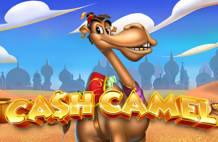 Cash Camel Logo