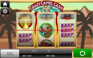 Crazy Camel Cash Game