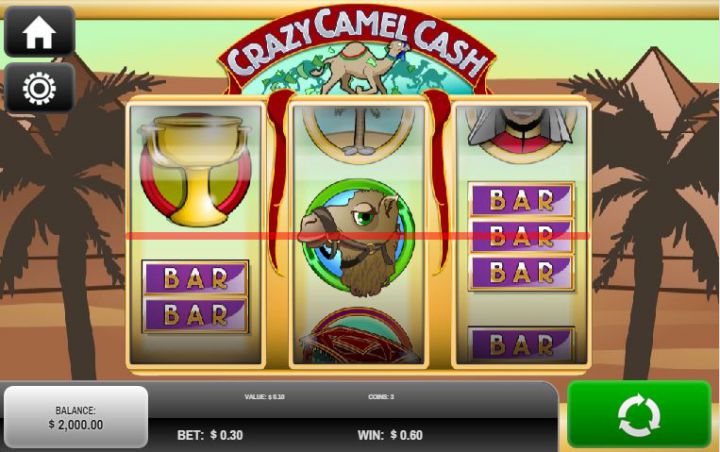 Crazy Camel Cash Logo