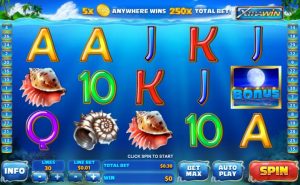 Dolphin Cash Game