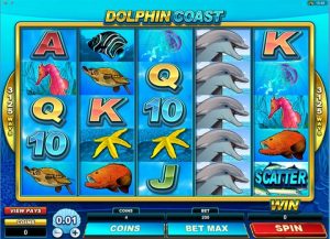 Dolphin Coast Game