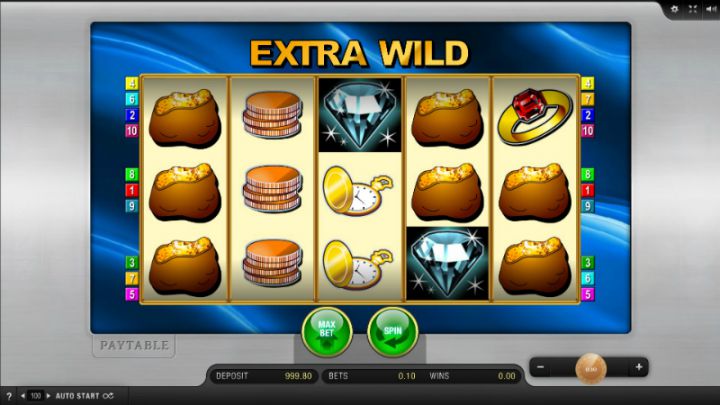 Extra Wild Logo