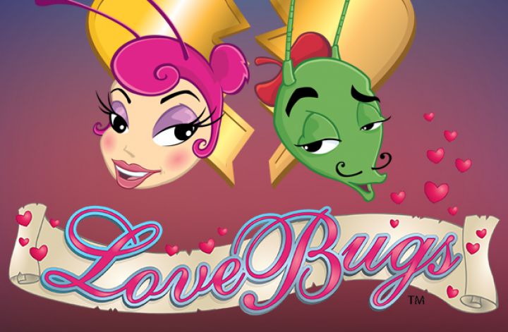 Love Bugs Logo