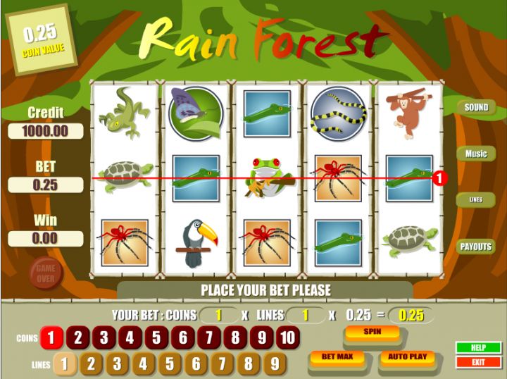 Rain Forest Logo