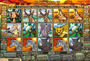 Safari Game