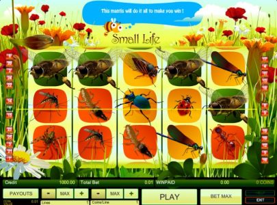 Small Life Game