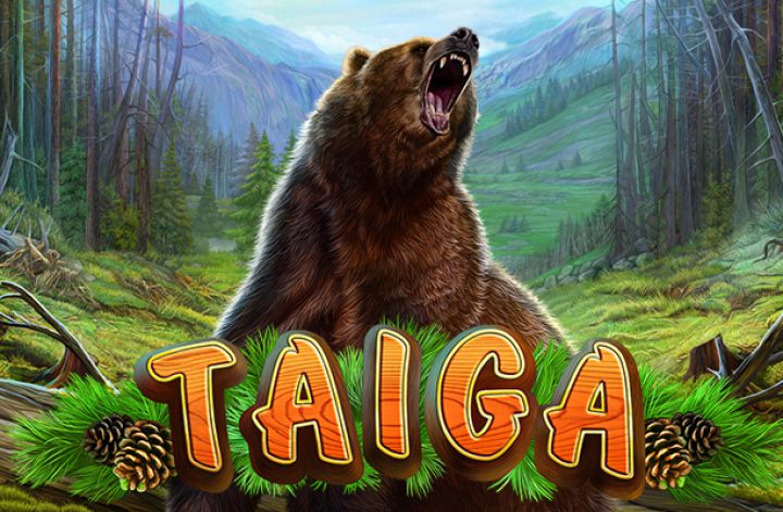 Taiga Logo