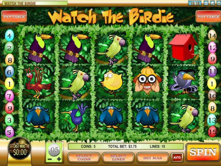 Watch the Birdie Logo