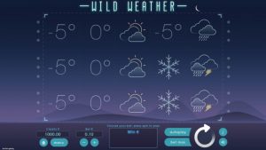 Wild Weather Game