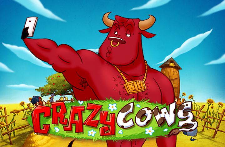 Crazy Cows Logo