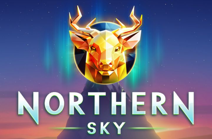 Northern Sky Logo