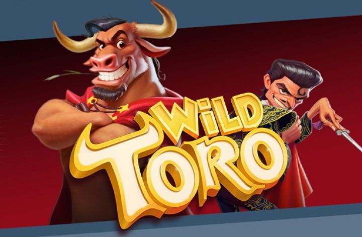 Wild Toro Logo