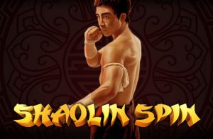 Shaolin Spin Game
