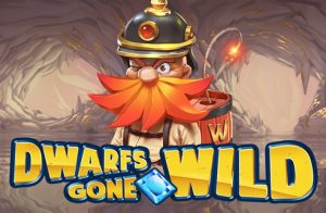 Dwarfs Gone Wild Game