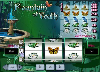 Fountain of Youth Game