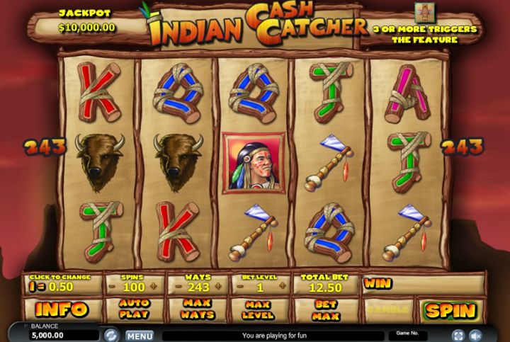 Indian Cash Catcher Logo