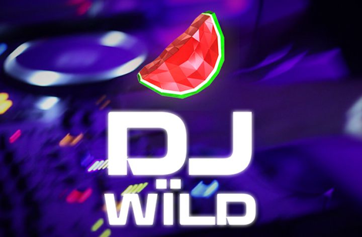 DJ Wild Logo