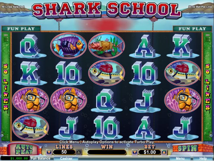 Shark School Logo