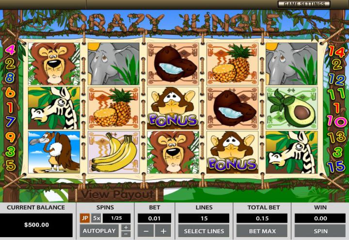 Crazy Jungle Logo