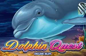 Dolphin Quest Game