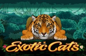 Exotic Cats Game