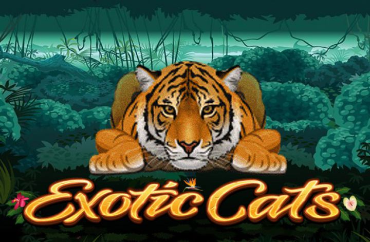Exotic Cats Logo