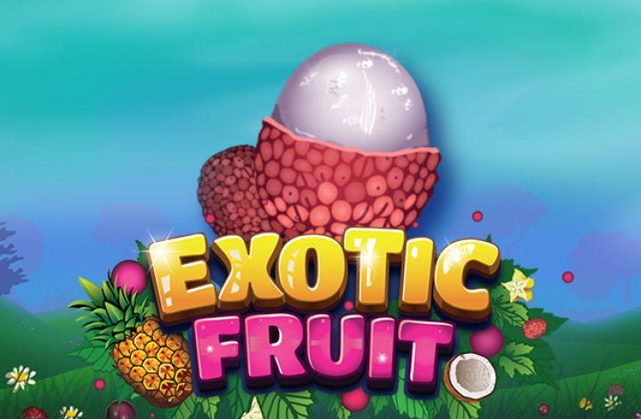 Exotic Fruit Logo