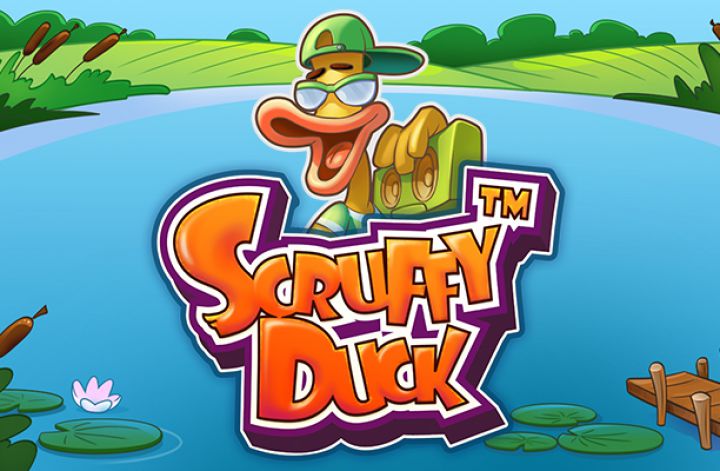 Scruffy Duck Logo