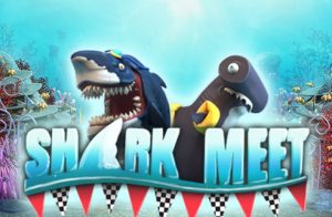 Shark Meet Game
