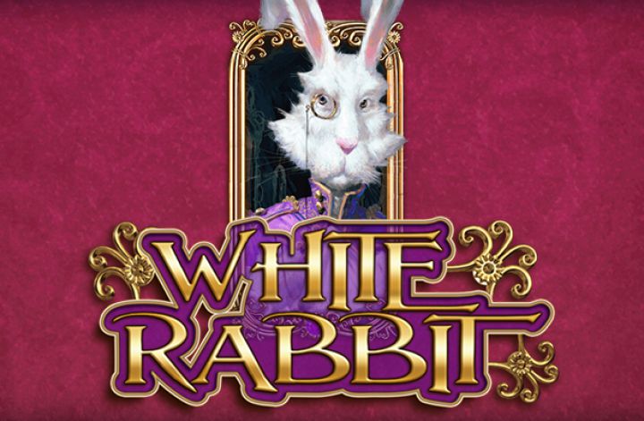 White Rabbit Logo