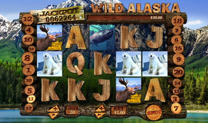 Wild Alaska Logo