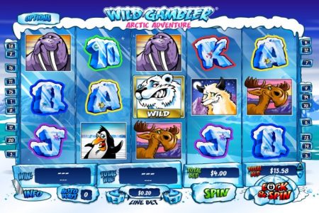 Wild Gambler Arctic Adventure Game