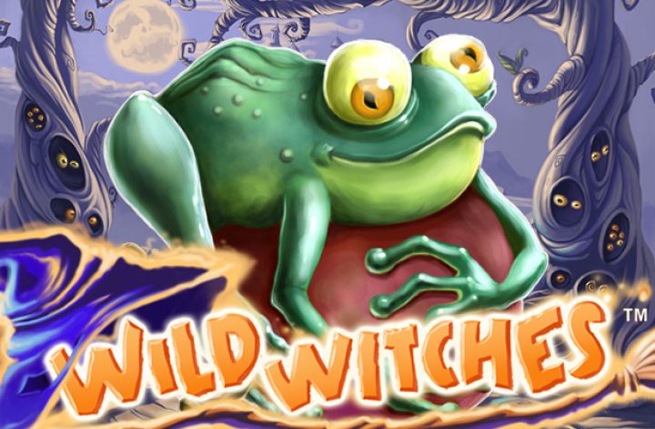 Wild Witches Logo