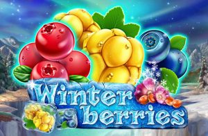 Winterberries Game