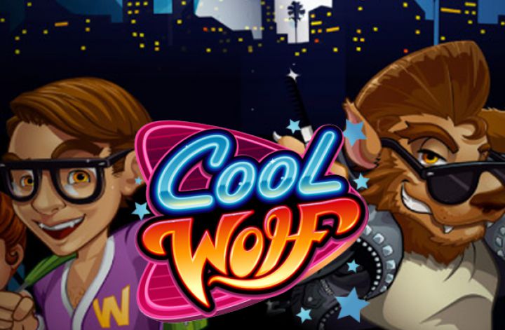 Cool Wolf Logo