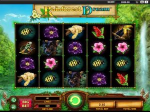 Rainforest Dream Game