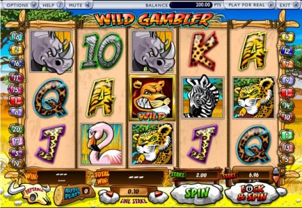 Wild Gambler Game
