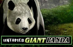 Untamed Giant Panda Game