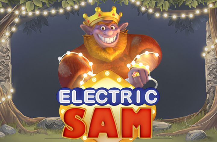 Electric Sam Logo