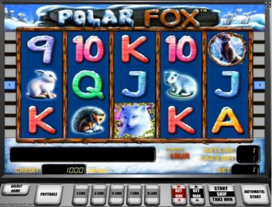 Polar Fox Game