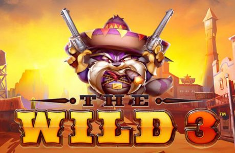 The Wild 3 Game