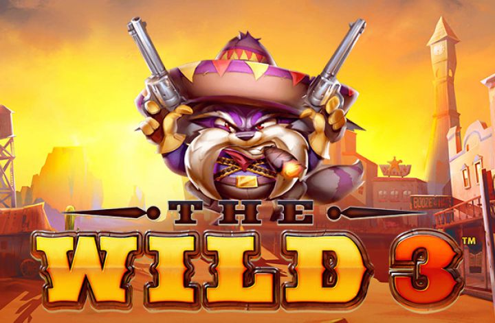The Wild 3 Logo