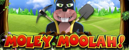 Moley Moolah Video Slot