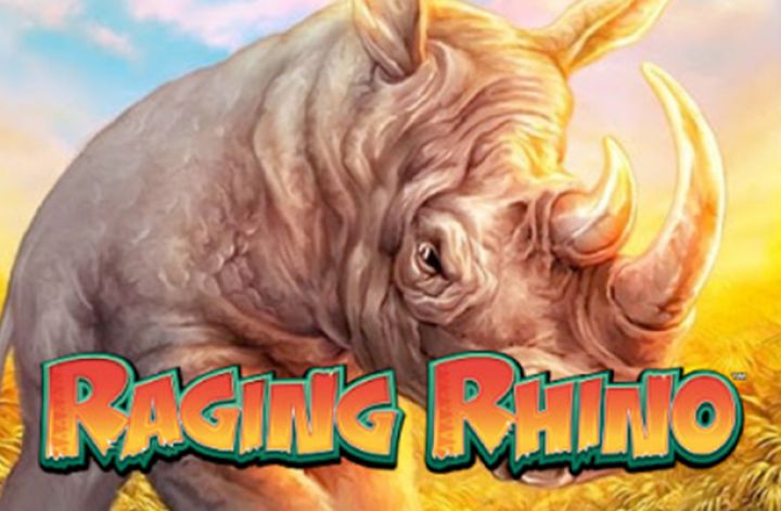 Raging Rhino Logo